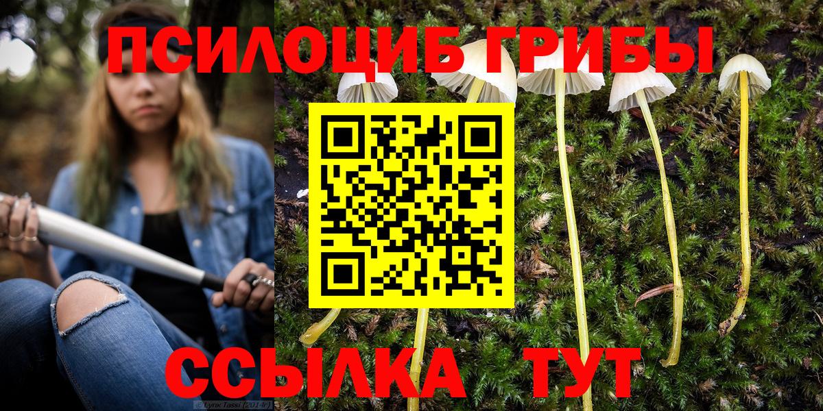 Вологда  Псилоцибиновые грибы прущие грибы  Вход с VPN 