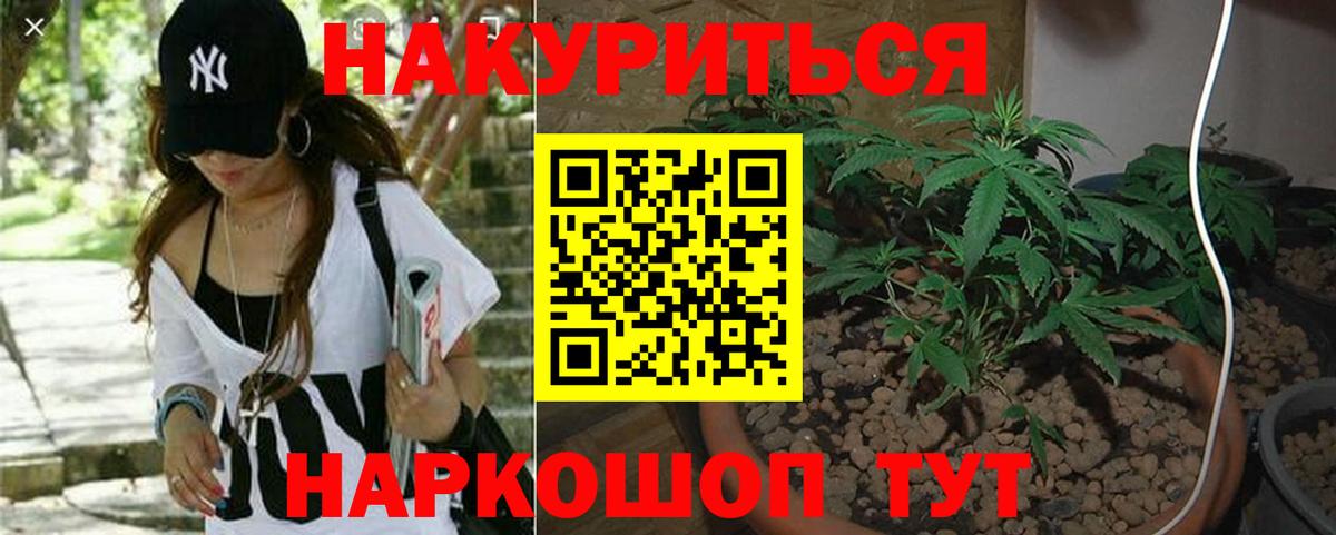 Вологда  Конопля гибрид  Бошки Шишки White Widow  Бошки марихуана тримм  Вход с VPN 