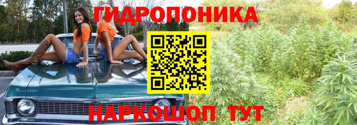 Конопля Ganja Вологда